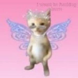 Meet your Posher, Laila